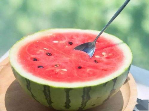 吃瓜网官网免费观看,热门剧集一网打尽！